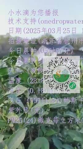 lq-tz-wwnYHM3dJ8ORehXI2_0R6Rmp4