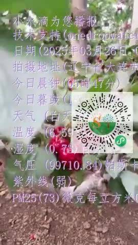 lgALJXuEJbkPft78lXhk7kgPKa25mp4