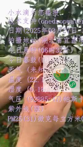 lrQSDliiTQ0bHw5mbiet01dHeGnjmp4