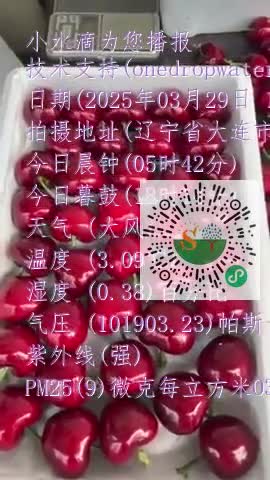 FuVZcv1QQz8oSw_9hM8JsK-cSZx_mp4