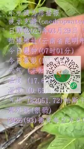 Fpj5SuNFed-6kt9B8o22yM-ht1kBmp4