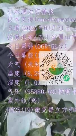 FnS9kY4R2nnrAVGBHSdgGkQ2j0BPmp4