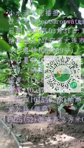 FlI6u79lo4u6ukDLkB_hh0PiXlfVmp4