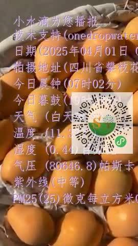 FoM5YPuVdyuW_t2W3B3p3__jCIe2mp4