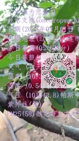 lvUHV-eoVlA3YyUolj0cj5eOPDvtmp4