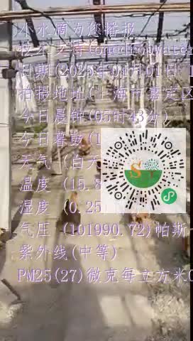Fmvvu08I-vFS021pogLj2I5sGq6Jmp4