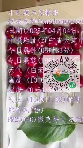FhngdGORBL6qs16LMmc8bwfwVpskmp4