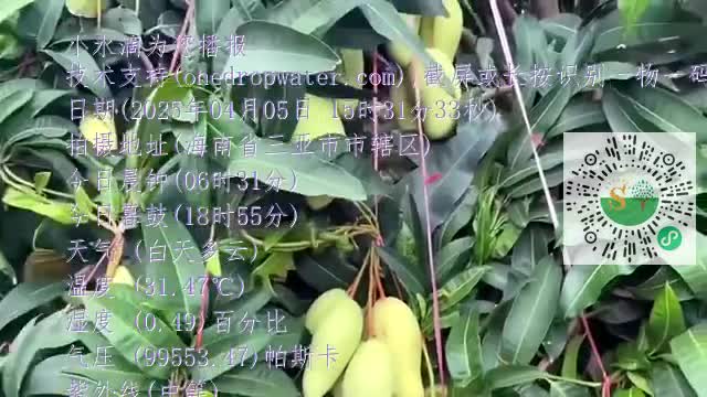 FgWUVOYuI9g8zyJQDG-n8e-_jGRxmp4