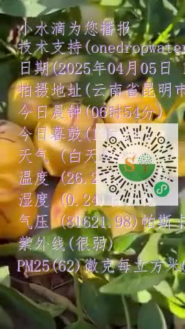 Fgc-_R1sZ69T2LMYm2IH4Q4aAl9Xmp4