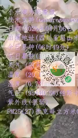 FsUJuJjfx_oJ5tvZPRcv027YfYABmp4