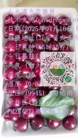 Fk-EfzsNwQyxmx9G10T5R9xqpapimp4