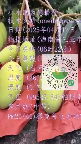 FtZwMJj1RCDWPmw7f1Vo-Q8Jd5uamp4