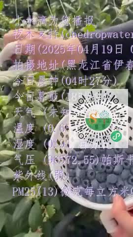 lnnnwvz_aKt0-TEoeEpebhouPfaamp4