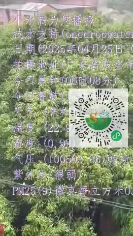 FnX3vzNq5qwVMt4mCcPw0iDs9PT0mp4