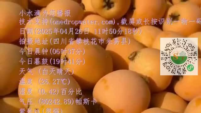FoCWAq7pU84sZWsLFyz67ju7puj8mp4