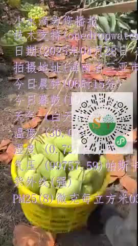 llHDdiIV8QG3hTZ-nY3KVqrL9DQqmp4