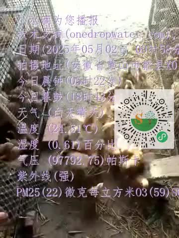 Fhqck3V-PZXCjAvIqAvmM9UK3yglmp4