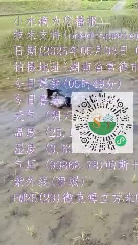 FkmIEqQ6mLNNfCuz2eMJyD2kMthemp4