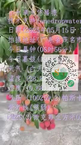 FjT4Io0nLOphkiwGEW5E1boINzKJmp4