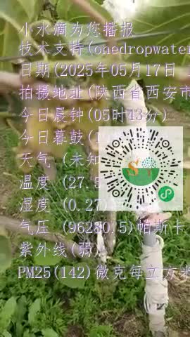 Fo3ftQjj5MQ1ZuRj-M1ihWIFAQ1Pmp4