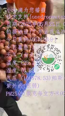 FrfrZvhCw3XcJ1cl_o65aAtMoWCKmp4