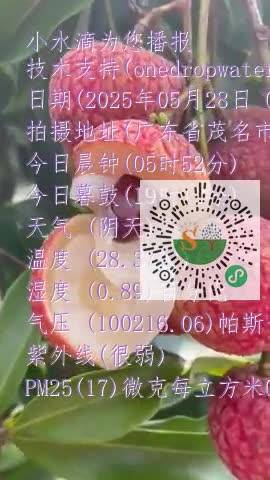 FqN3SeipE_pKPYu2vE3R-GDnAZjPmp4