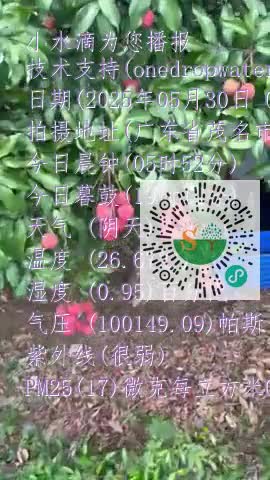 Fl-iV-TUSAij15JAyOKYMAD3ut0Kmp4