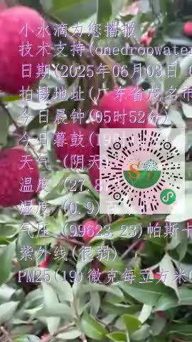 FvasOeFBQtQmhW2BT_wXrlINw-dxmp4
