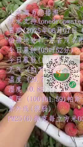 lvPZMalhHZhmvrpz2aaPwPTBPV4_mp4