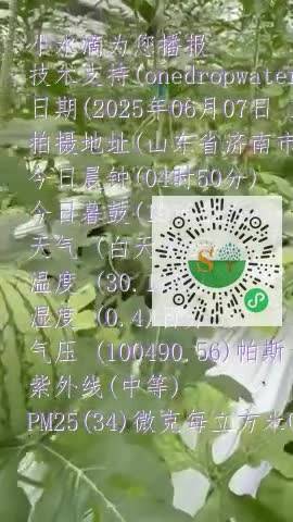 FuJceuFX8OI7EC55RDCKKf-QtmaBmp4