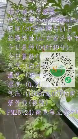 Fm9XRbyCY-csMZYmKceqbeJ4gP6cmp4