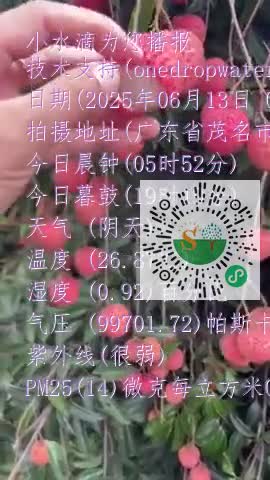 FsfVfhAO1GAPC8c_LIS1bIj_-_Mhmp4