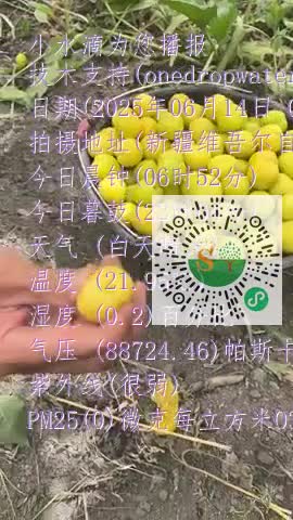 FulM4IN2nSMXxPw6qlVSdfgnP1zcmp4
