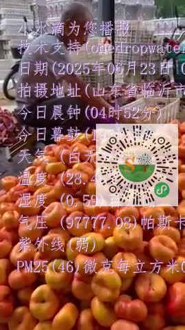 FoOXlJxBfPTym_1sMfTHs2wmpTzhmp4