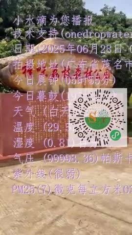 FlypTe76qP7_X-1asFmi4WayDzi6mp4