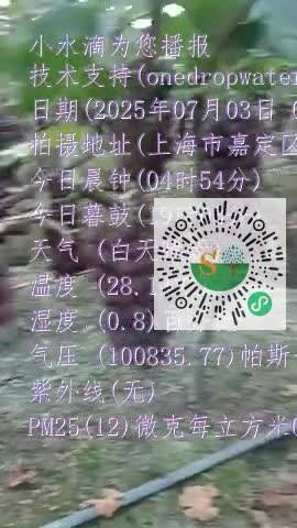 lvpq3HScYHSXAKfLEiN2vPOHRLGLmp4