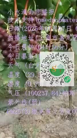 Fpg3pEFY73_Co7Ul9oeWvkZXcK2Bmp4