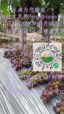 FsB78IyRVf3cPtxDh3WEsXaKece1mp4