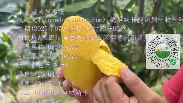 FnAjxBnu3QVbHdnpTKqpIIkXJ0Hwmp4