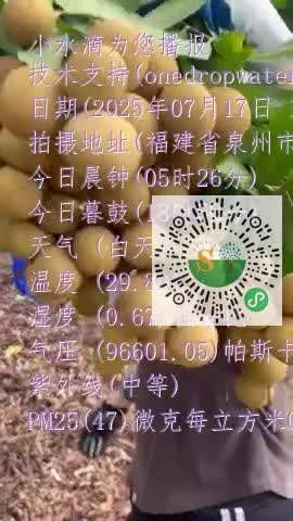 Fl6Xj6oiRNx2_E1SNLB94r3Jup26mp4