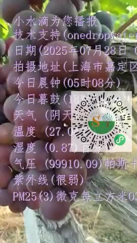 Fs4lM0FKdi9IVVyc2jCVc20T67h9mp4