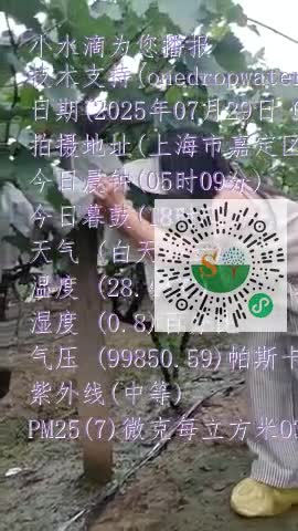 FkB3pr8idGIkfV5THWWLq8gXpoWimp4
