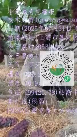 lvbNdQVqroVjoI3NQEIJUHESTF97mp4