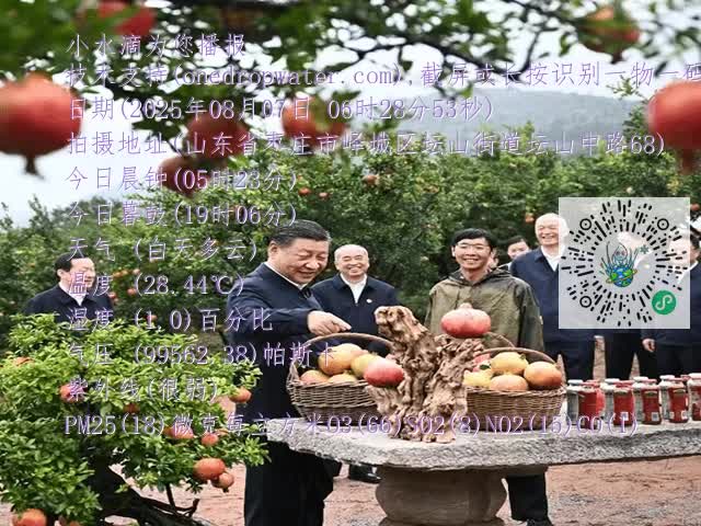 cdb38daf640d026a266d39f615f7d00d.mp4