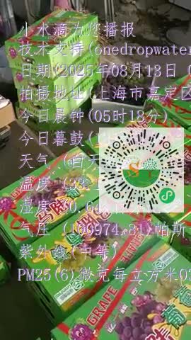 lmXaNTiiQDEijGrDoOQUSXoB-W45mp4