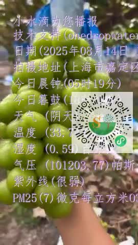 loWY5rt73mLtrFbJp8AP1GTm1Rermp4