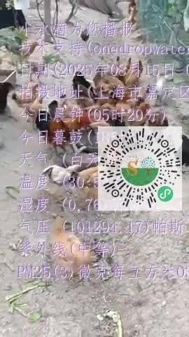 FhP9XfOp9ZbWFTmRoswKlLq82As9mp4