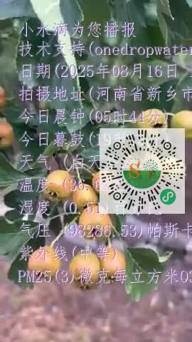 FuDnhbItOhK-gBk71c-TQTc8mm-ump4