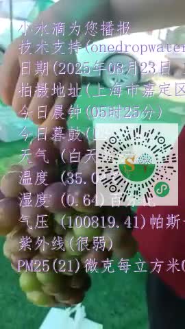 Ft2fLxlWuJredrdBvxvF6losRsv-mp4