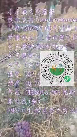 FpP2K05_1mYeaStPakecdT8xEPXkmp4